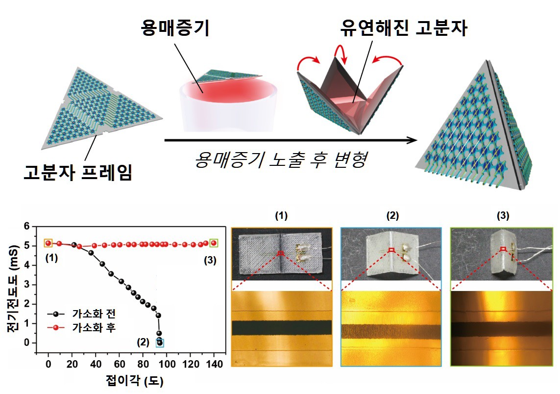 Professor Heung Cho Ko’s research team develops omnidirectional image sensor (National Research Foundation of Korea) 이미지