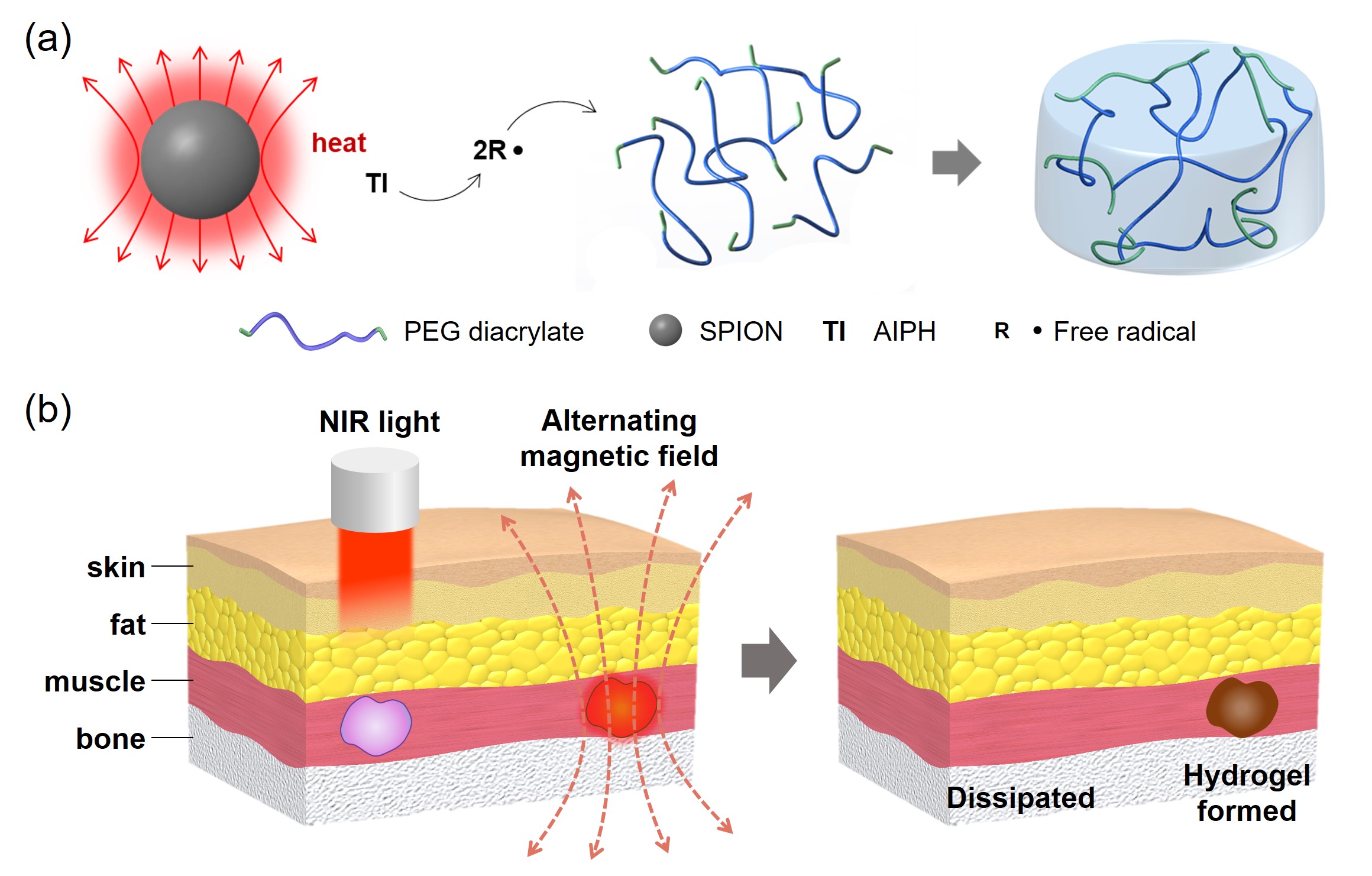 Professor Jae Young Lee's research team develops a hydrogel manufacturing system that can be controlled deep in skin tissue 이미지