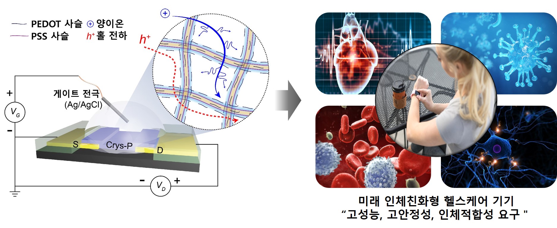Professors Hyung-Han Yoon and Kwanghee Lee have developed electronic devices for human transplants (National Research Foundation of Korea) 이미지