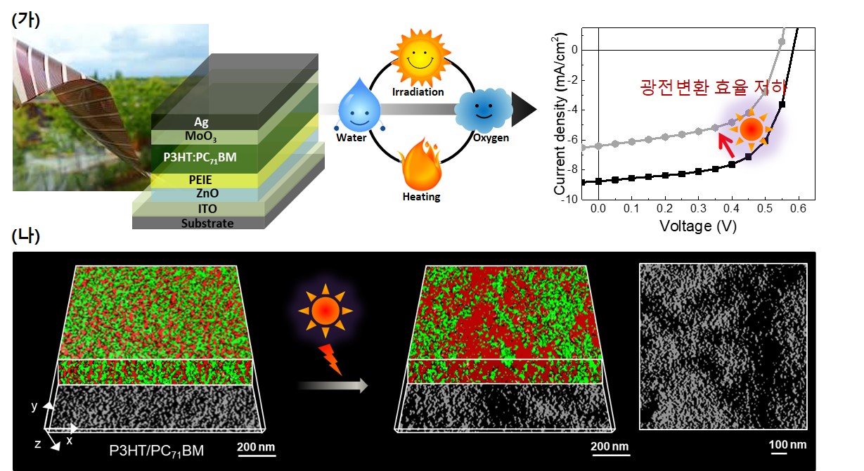 Professor Eunji Lee's research team identifies the three-dimensional structure of polymer nanowires and photovoltaic layers that will improve the stability of organic solar cells 이미지