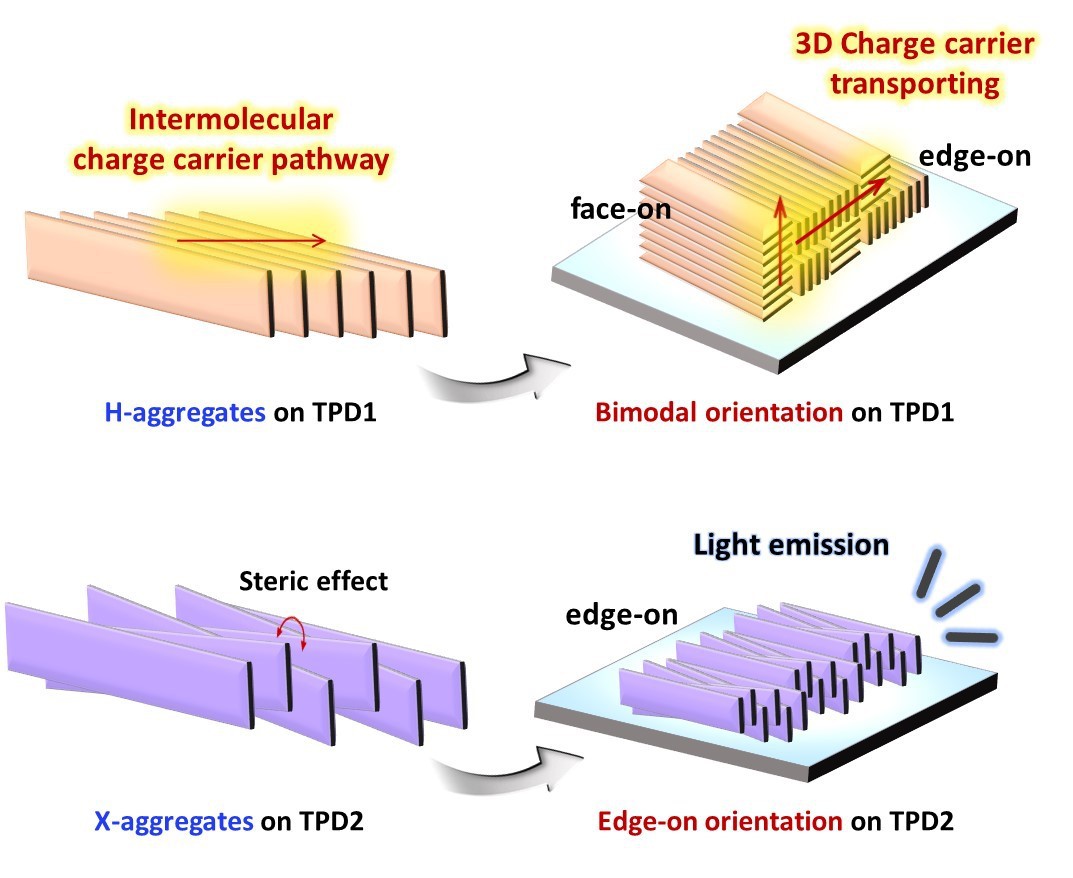 Professor Dong-Yu Kim's research team identifies polymer aggregation type for high performance organic thin film electronic devices 이미지