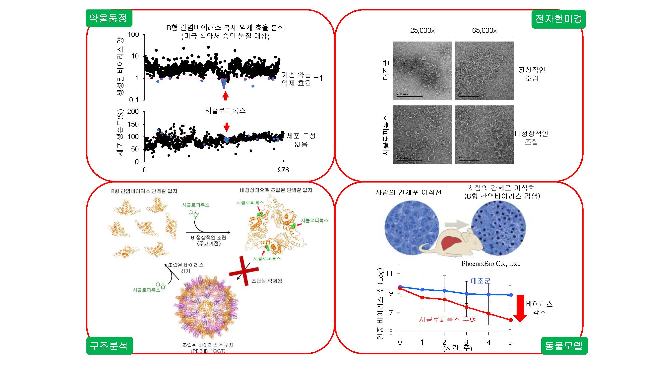 Professor Sung-Gyoo Park's joint research team develops new hepatitis B drug treatment using U.S. FDA-approved skin treatment drug 이미지