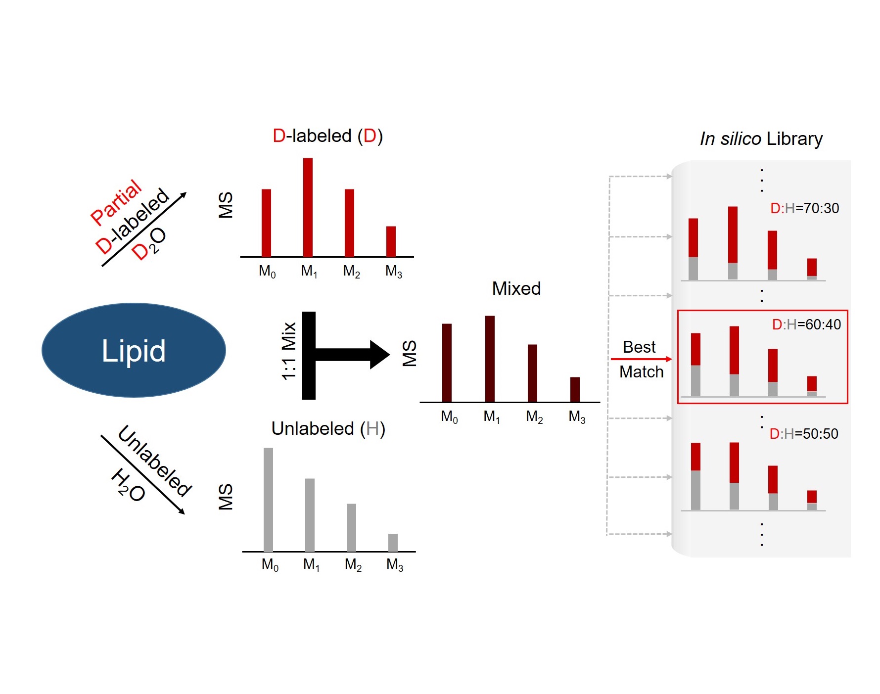 Professor Tae-Young Kim's research team develops a new high-efficiency analysis method for finding biomolecules related to diseases 이미지