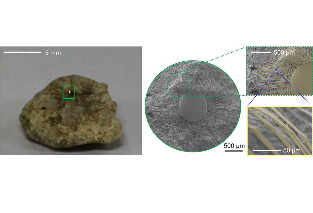 Professor Heung Cho Ko's research team develops printing technology that can attach electronic devices to rough surfaces, like rocks (Ministry of Science and ICT) 이미지