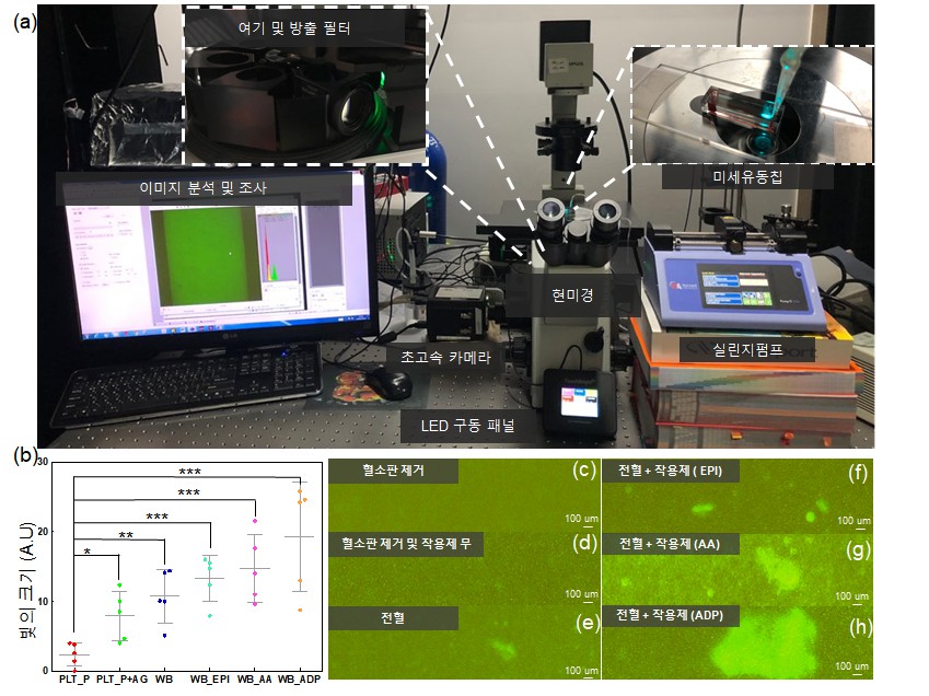 Professor Euiheon Chung's research team develops new platelet function test equipment using laser speckle decorrelation analysis 이미지