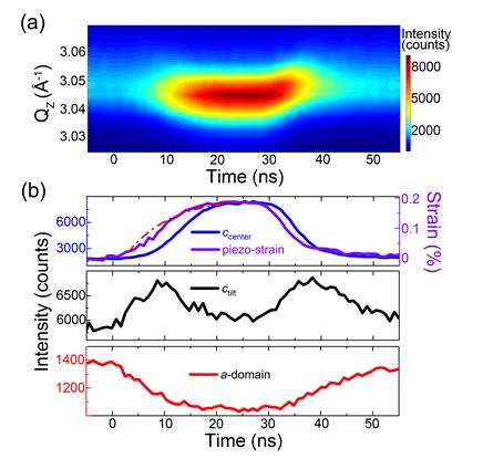 Professor Ji Young Jo's research team identifies the phenomenon of ferroelastic domain switching within a nanosecond 이미지