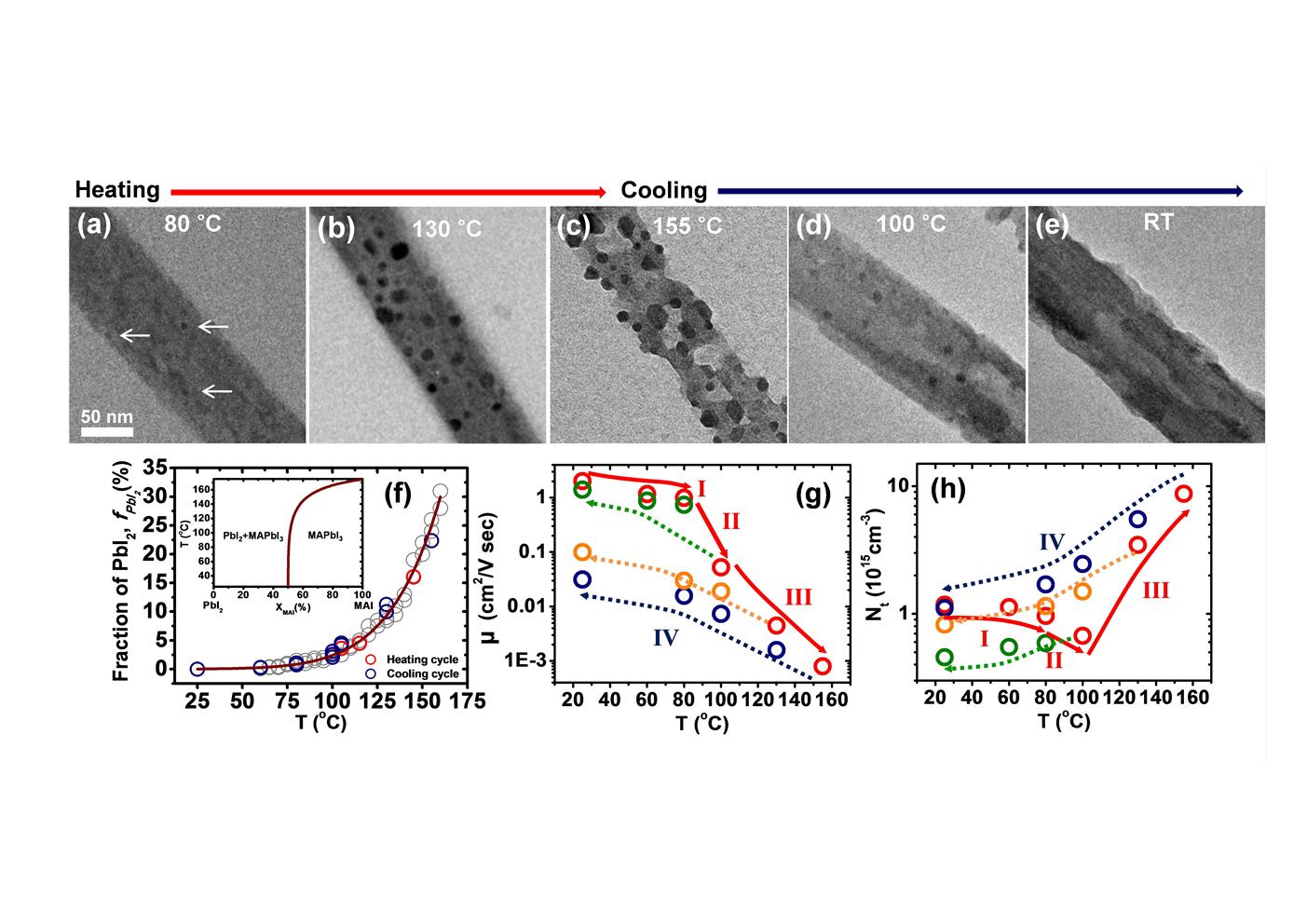 Professor Bong-Joong Kim's research team discovers thermal resiliency of organic metal halide perovskite 이미지