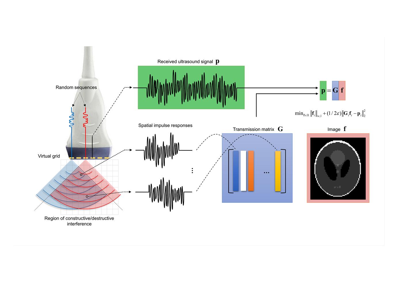 Professor Heung-No Lee's research team improves ultrasonic imaging techniques four times by utilizing wavelength interference and mathematical optimization 이미지