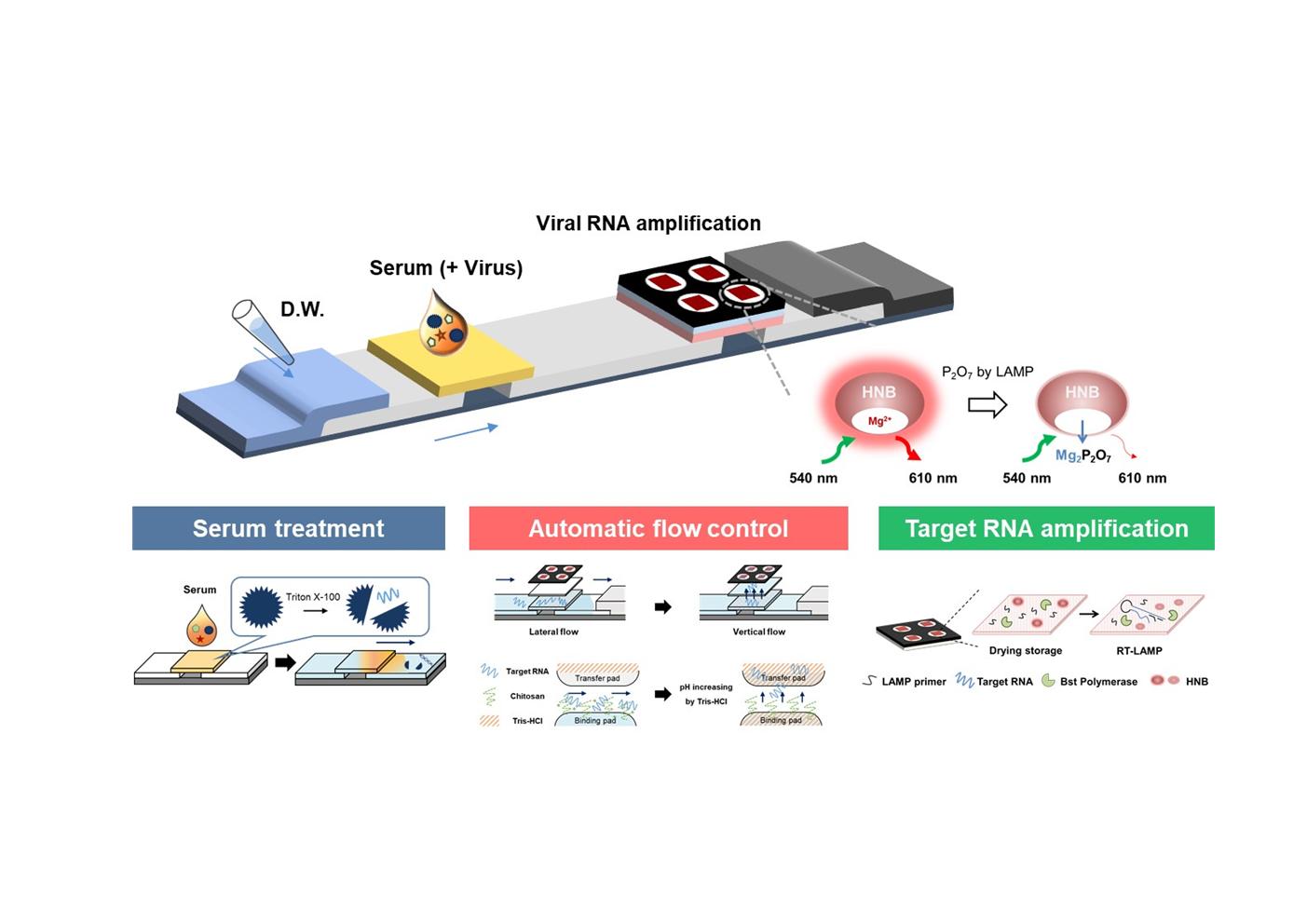 Professor Min-Gon Kim's research team developed all-in-one molecular diagnosis technology to measure mosquito-borne virus infection 이미지