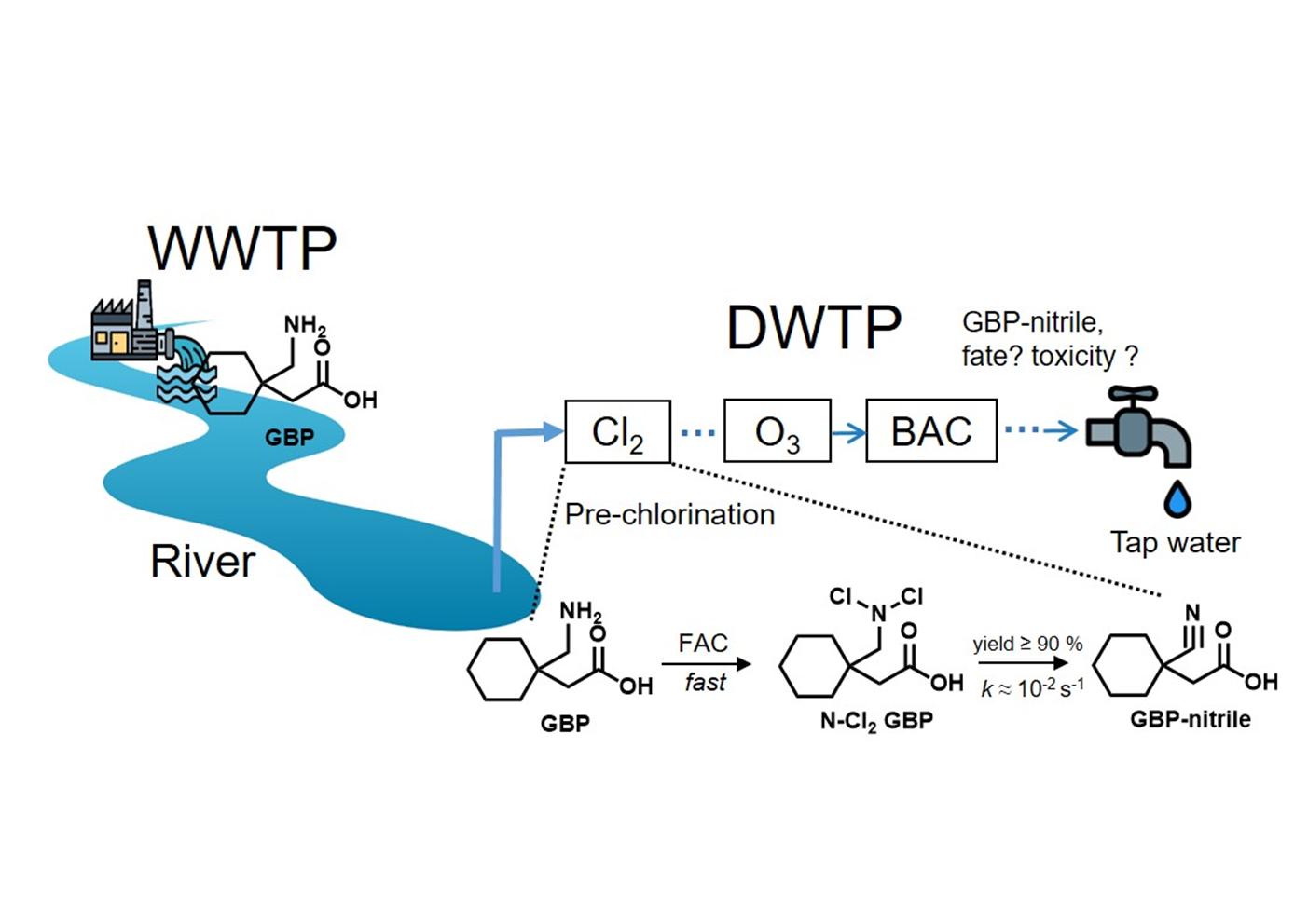 Professor Yunho Lee's team detects antiepileptic drugs in drinking water and investigates structural changes during the water treatment process 이미지