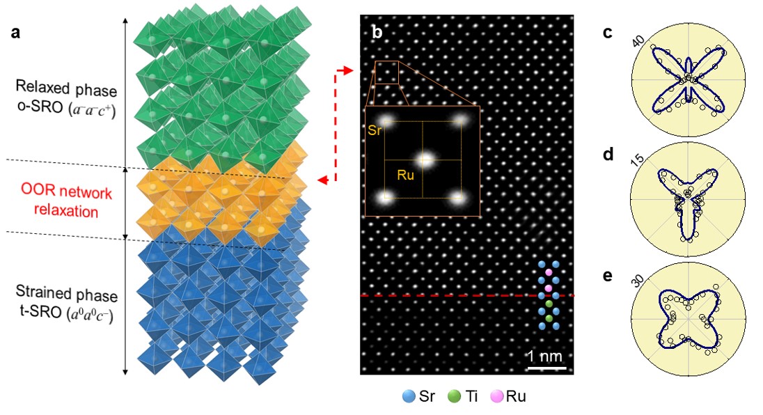 Professor Jong Seok Lee's research team discovers a metal with electrical polarization by relaxation of compressive strain 이미지