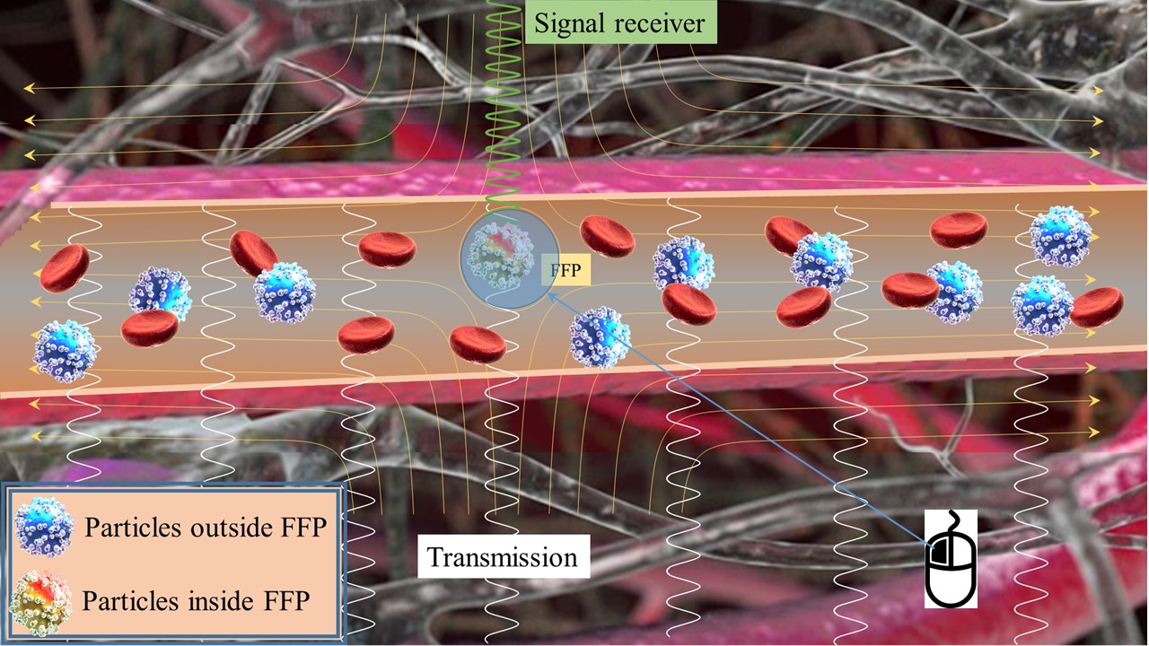 Professor Jungwon Yoon's research team develops a navigation system that can freely control nanoparticles in the body 이미지