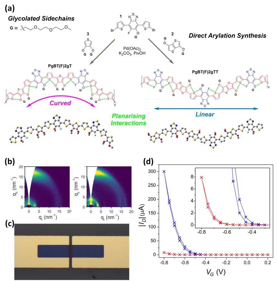 Professor Myung-Han Yoon's joint research team improves the performance of human-transplantable organic electrochemical transistors 이미지