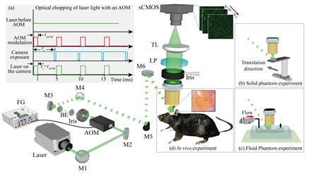 Professor Euiheon Chung's research team develops optical imaging technology that can quantitatively measure cerebral blood flow 이미지