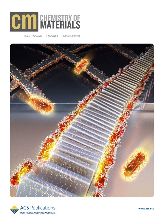 Professor Eunji Lee's research team succeeds in controlling quantum bar alignment and orientation through polymer crystallization 이미지