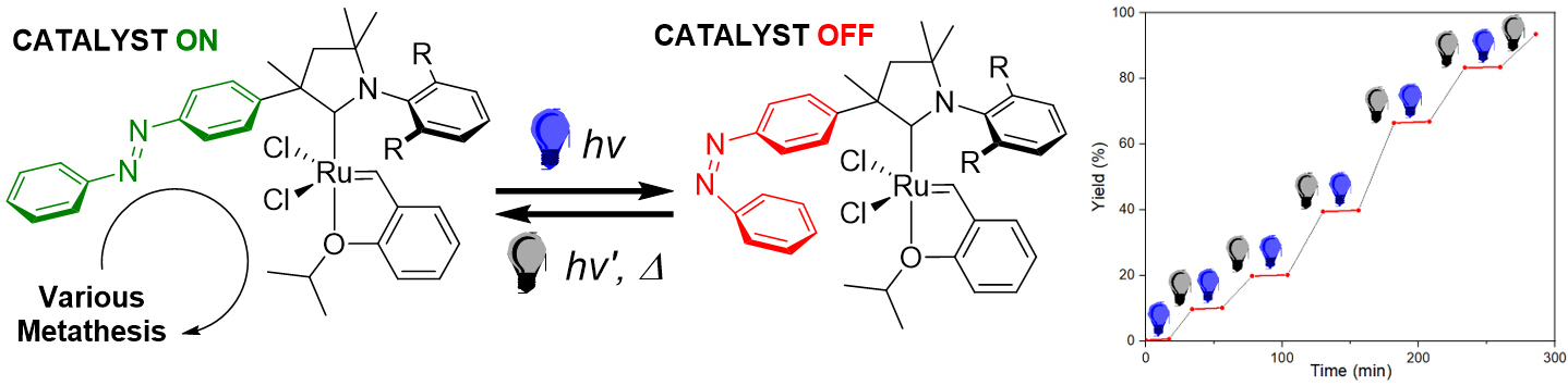 Professor Sukwon Hong's research team develops a catalyst that controls chemical reactions with light 이미지