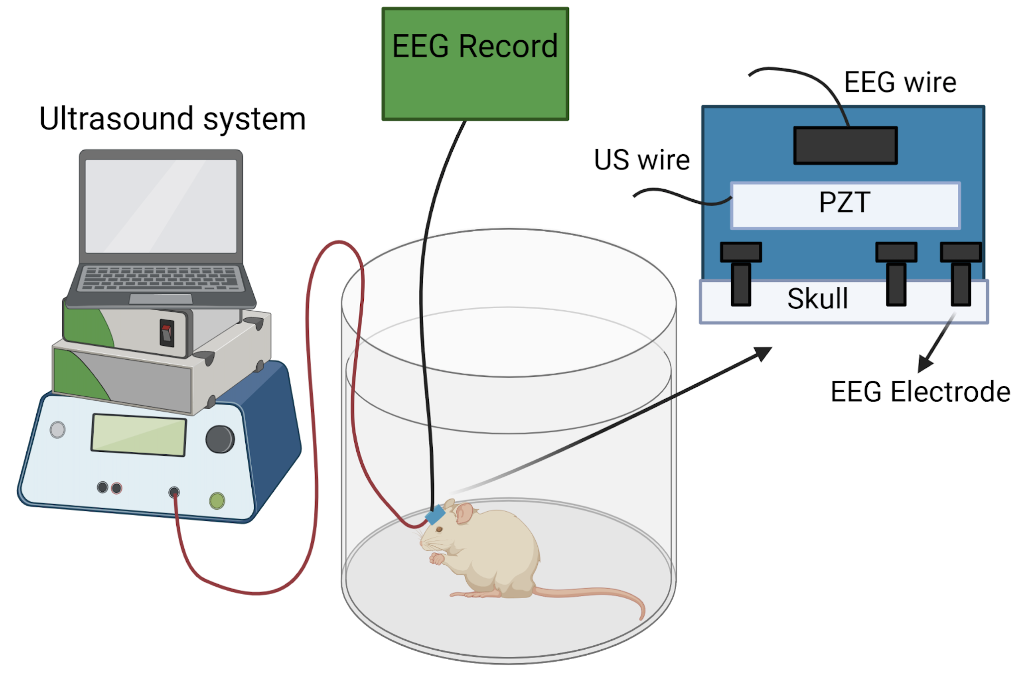 Professor Tae Kim and Professor Jae Gwan Kim's joint research team discovers a new treatment for dementia using ultrasound brain stimulation 이미지