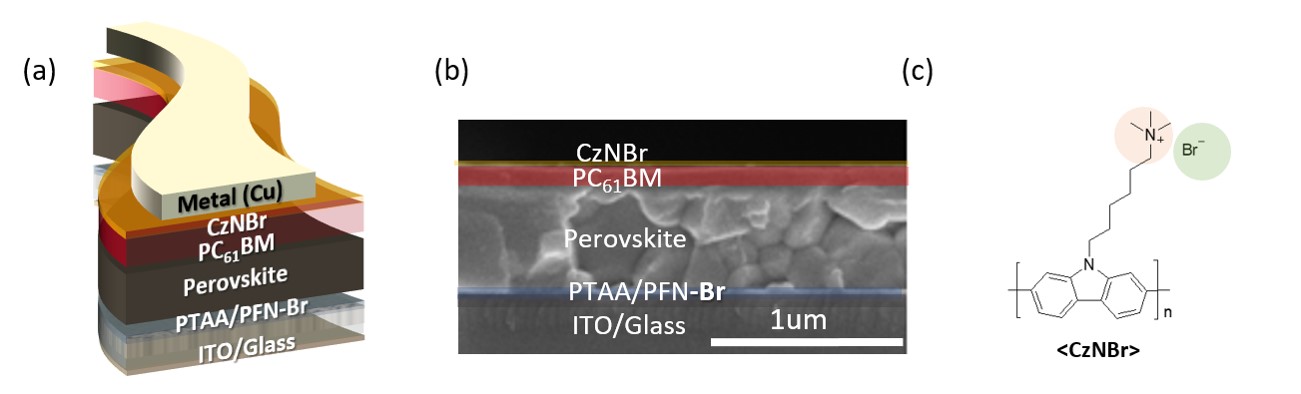 Professors Heejoo Kim and Kwanghee Lee's joint research team develops high-stability perovskite solar cells that are resistant to heat and light 이미지