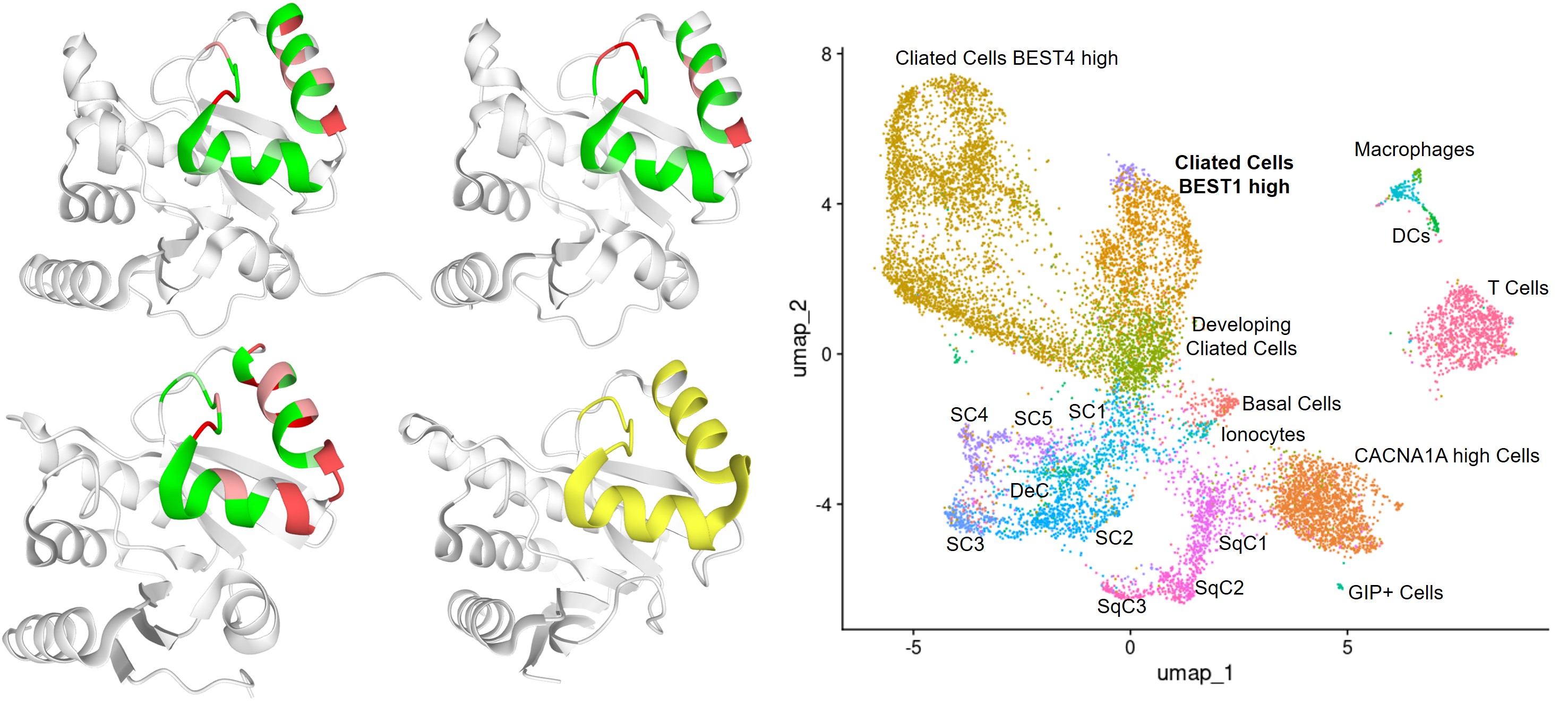 Professor Jihwan Park's research team finds the cause of the longterm effects of COVID-19 through machine learning 이미지