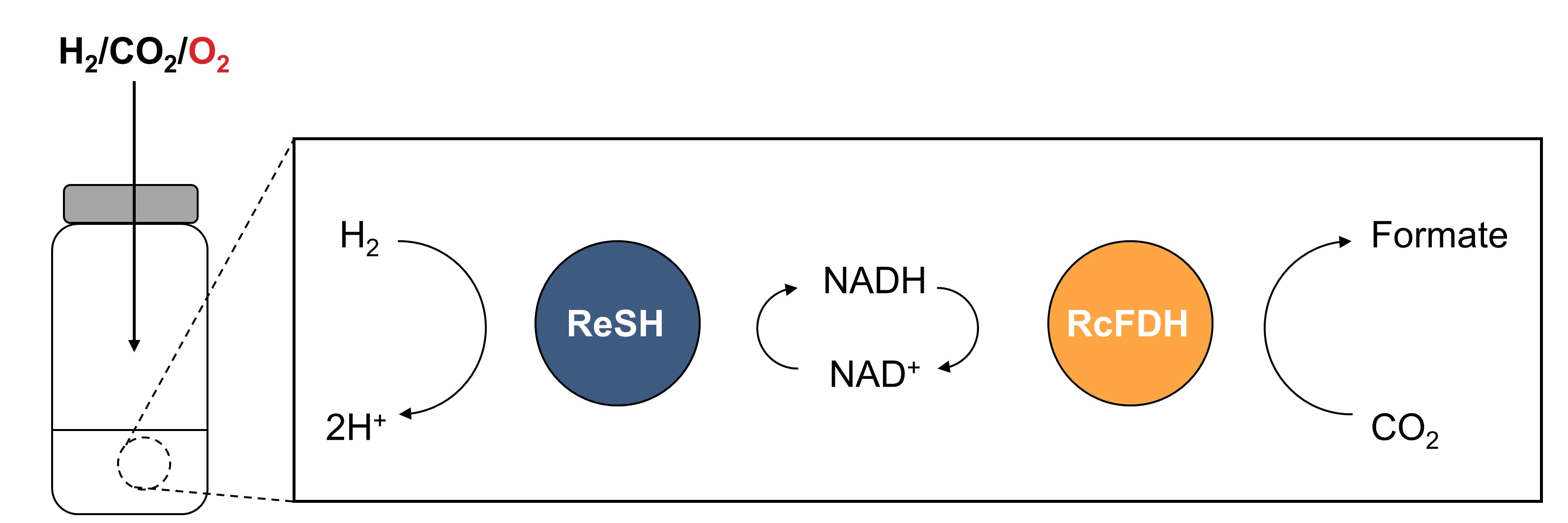 Professor Inchan Kwon's research team makes 'formic acid' from a greenhouse gas in industrial waste gas! Development of new enzyme combination technology 이미지