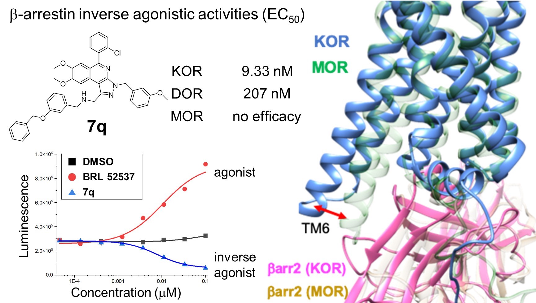 Professor Yong-Chul Kim's joint research team jointly develops therapeutically effective substances, "Finding a new clue to the mechanism of depression treatment" 이미지