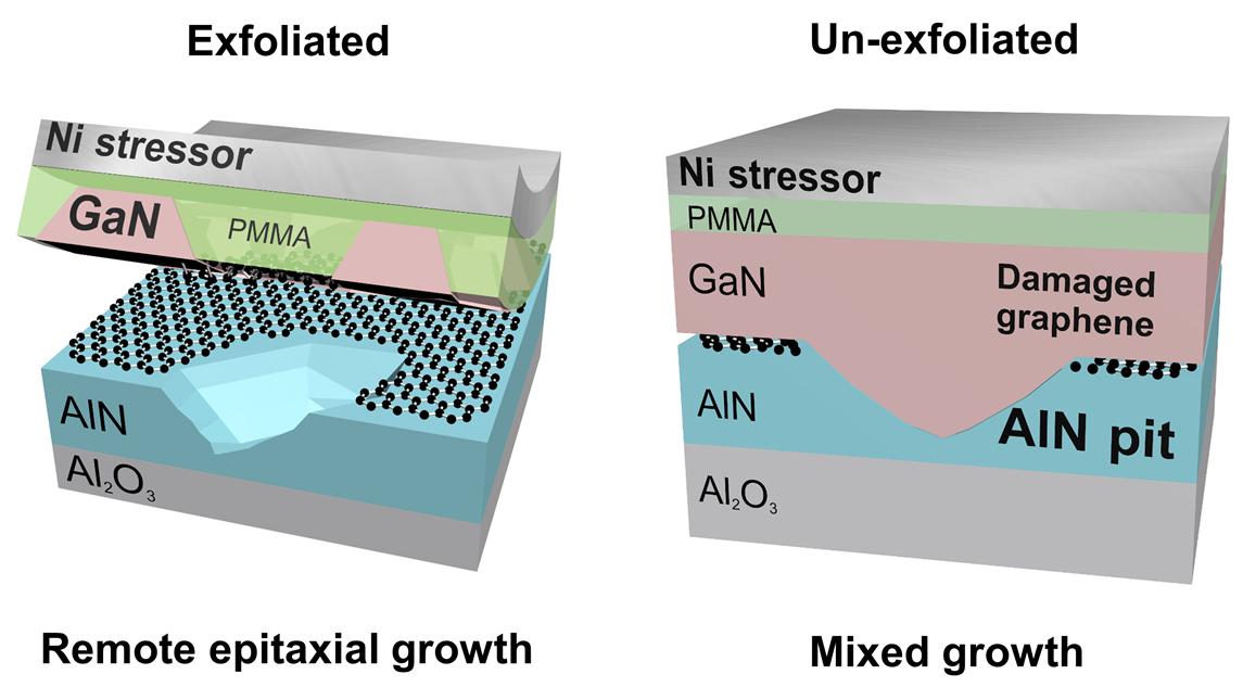 Professor Dong-Seon Lee's joint research team, "Semiconductor, the era of infinite copying is coming" GIST-MIT, commercialization of 'remote epitaxy' 이미지