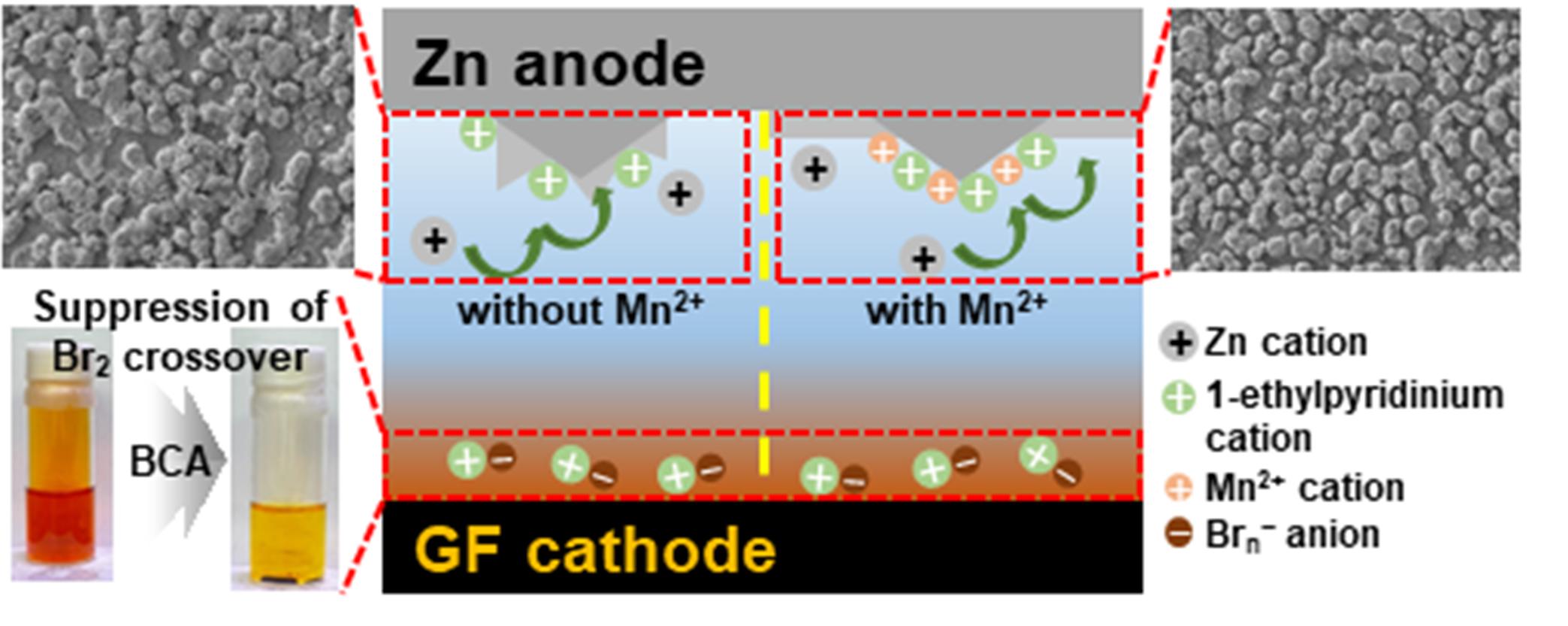 Professor Hyeong-Jin Kim's research team has improved the performance and durability of a safe and inexpensive 'non-flow zinc-bromine battery'! 이미지