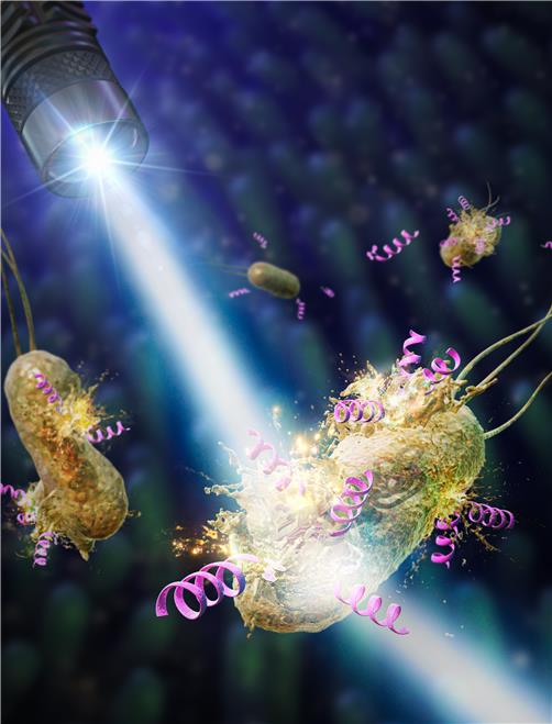 Professor Jiwon Seo's joint research team discovers powerful antibiotic drugs that kill super bacteria (National Research Foundation of Korea) 이미지