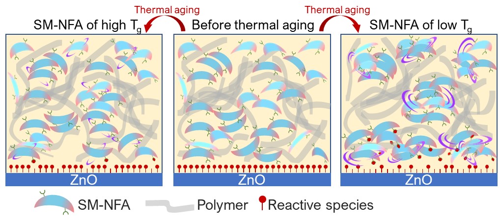 The joint research team of Professors Kwanghee Lee and Heejoo Kim extended the lifespan of organic solar cells by more than 1,000 hours 이미지