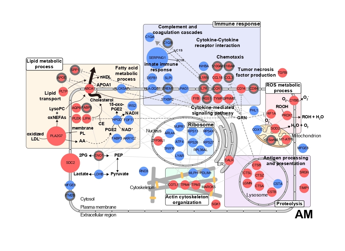 Professor Chang-Myung Oh's joint research team uncovers a treatment for pulmonary fibrosis caused by COVID-19... Identifying the effectiveness of existing drugs and suggesting new treatment targets 이미지