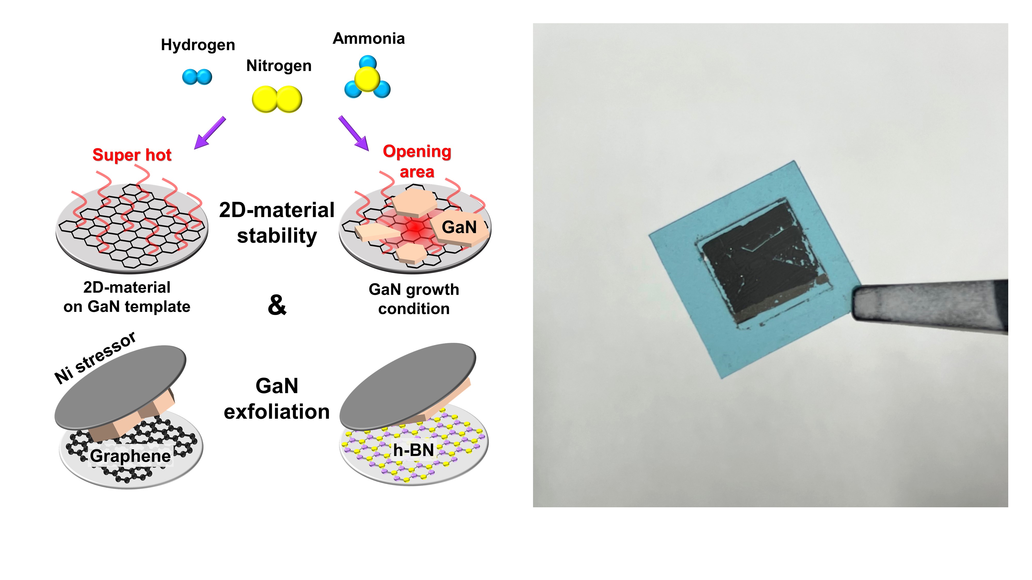 Professor Dong-Seon Lee's team opens the era of 'infinite radiation' for expensive gallium nitride (GaN) semiconductors 이미지