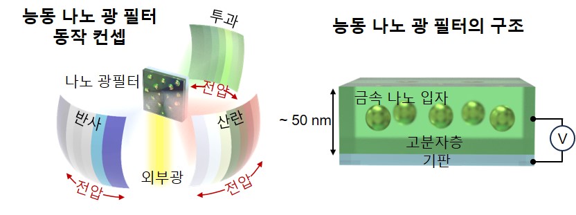 A joint research team of Professors Hyeon-Ho Jeong and Young Min Song develops a nano-optical filter modeled after the eyes of Arctic reindeer 이미지