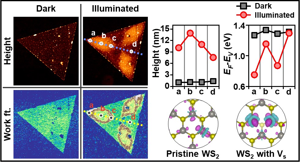 Senior Researcher Sang-Youp Yim's joint research team is the first in the world to observe and analyze a phenomenon that combines optical-electrical-mechanical properties in a two-dimensional atomic layer 이미지