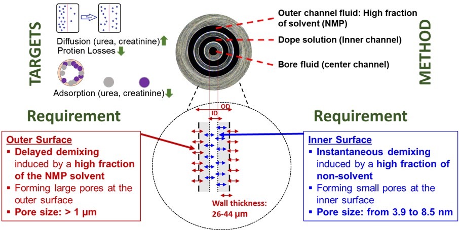 "Full-scale domestic production of hemodialysis filters" Professor In S. Kim's research team developed a high-performance hollow fiber membrane for hemodialysis with 150% improved uremic removal performance 이미지