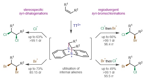 Joint research team of Professor Won-jin Chung and Professor Jun-Ho Choi develops 'same direction' alkene dihalogenation reaction that reverses the traditional chemical reaction stereoscopic path 이미지