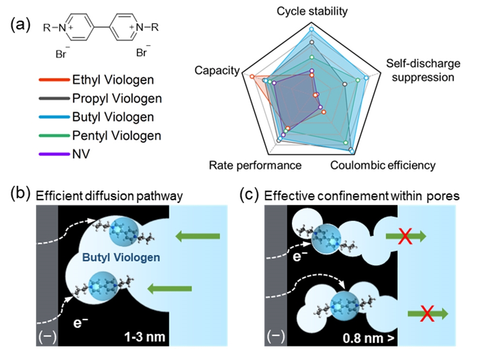 "We found a solution by designing electrolytes, not electrodes" Professor Seung Joon Yoo's research team significantly improves the performance of next-generation redox supercapacitors by precisely controlling molecular size 이미지