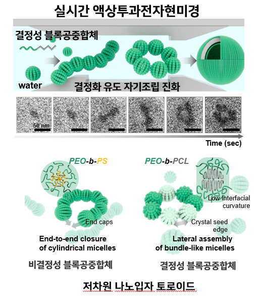 Professor Eunji Lee's research team succeeds in observing and clarifying the evolution process of polymer nanostructures for the first time in the world 이미지