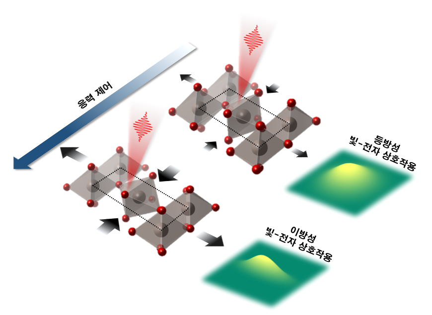GIST-University of Minnesota, world's first confirmation of 'Ultra-Fast Interaction Control' of light and electrons 이미지