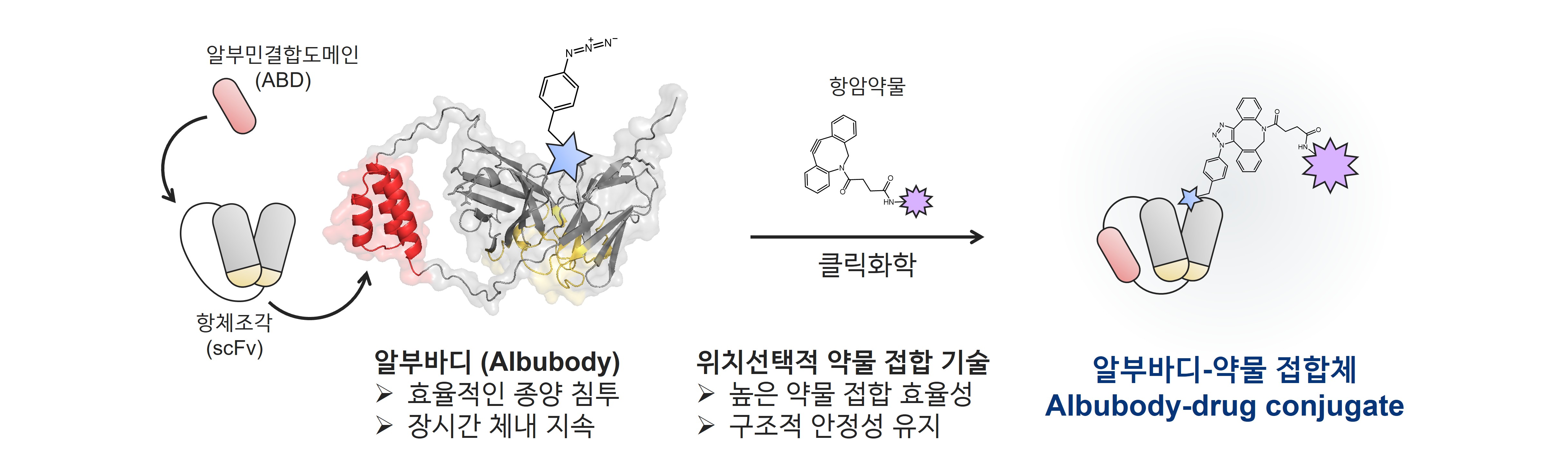 Professor Inchan Kwon's team and the University of Virginia have developed a precision anticancer drug platform that penetrates deep into tumors and persists in the body 이미지