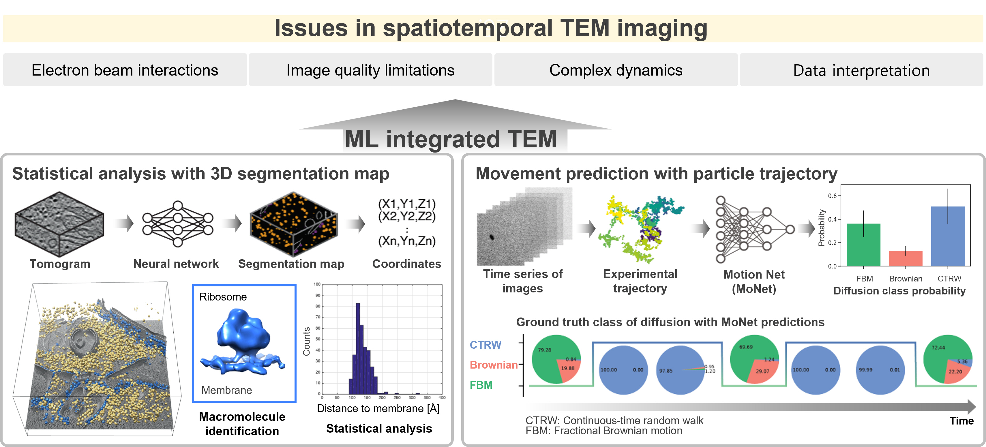 Beyond observing nanostructures, Professor Eunji Lee's research team presents an AI-based electron microscope analysis platform that predicts material performance 이미지