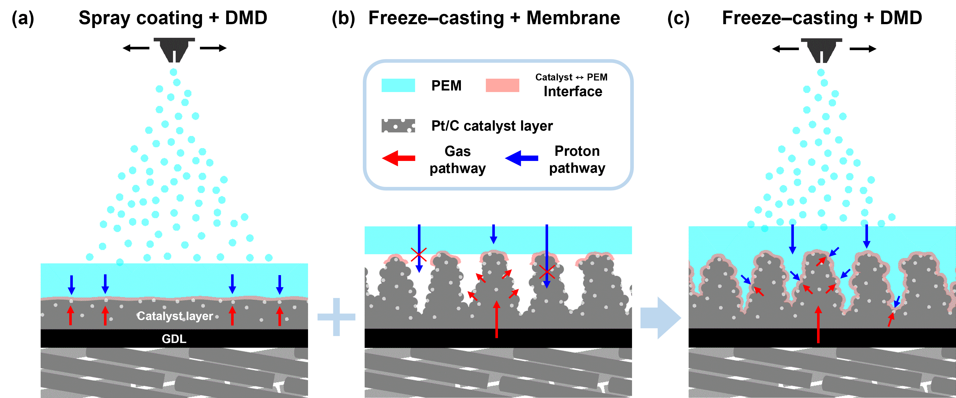 Professors Chanho Pak and Seung-Hyeon Moon's research team has overcome the limitations of fuel cell performance with a vertical electrode structure that applies the principle of fruit freeze-drying 이미지