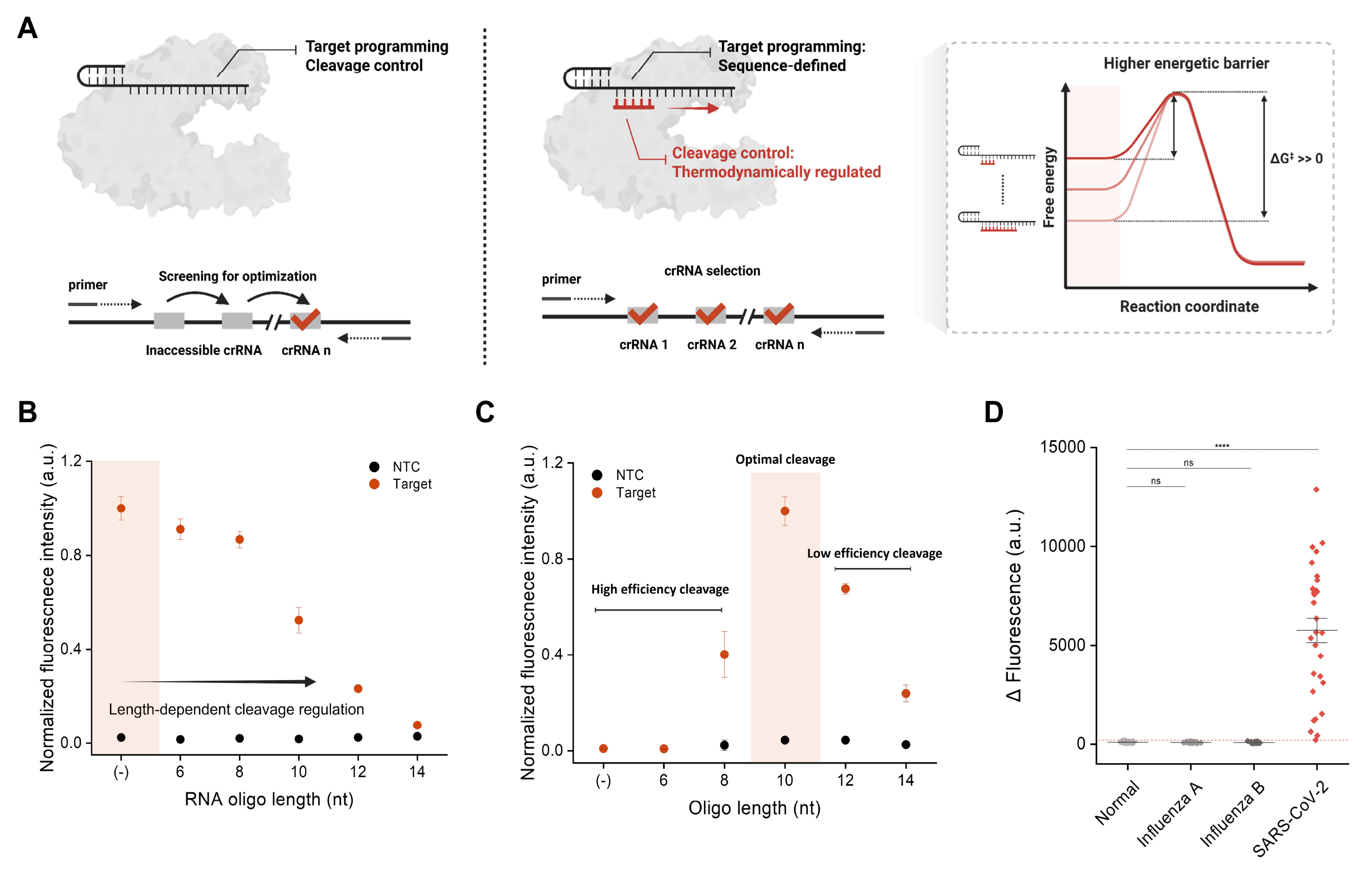 GIST develops universal gene detection technology diagnosing various diseases within 20 minutes... Achieves PCR-level accuracy 이미지