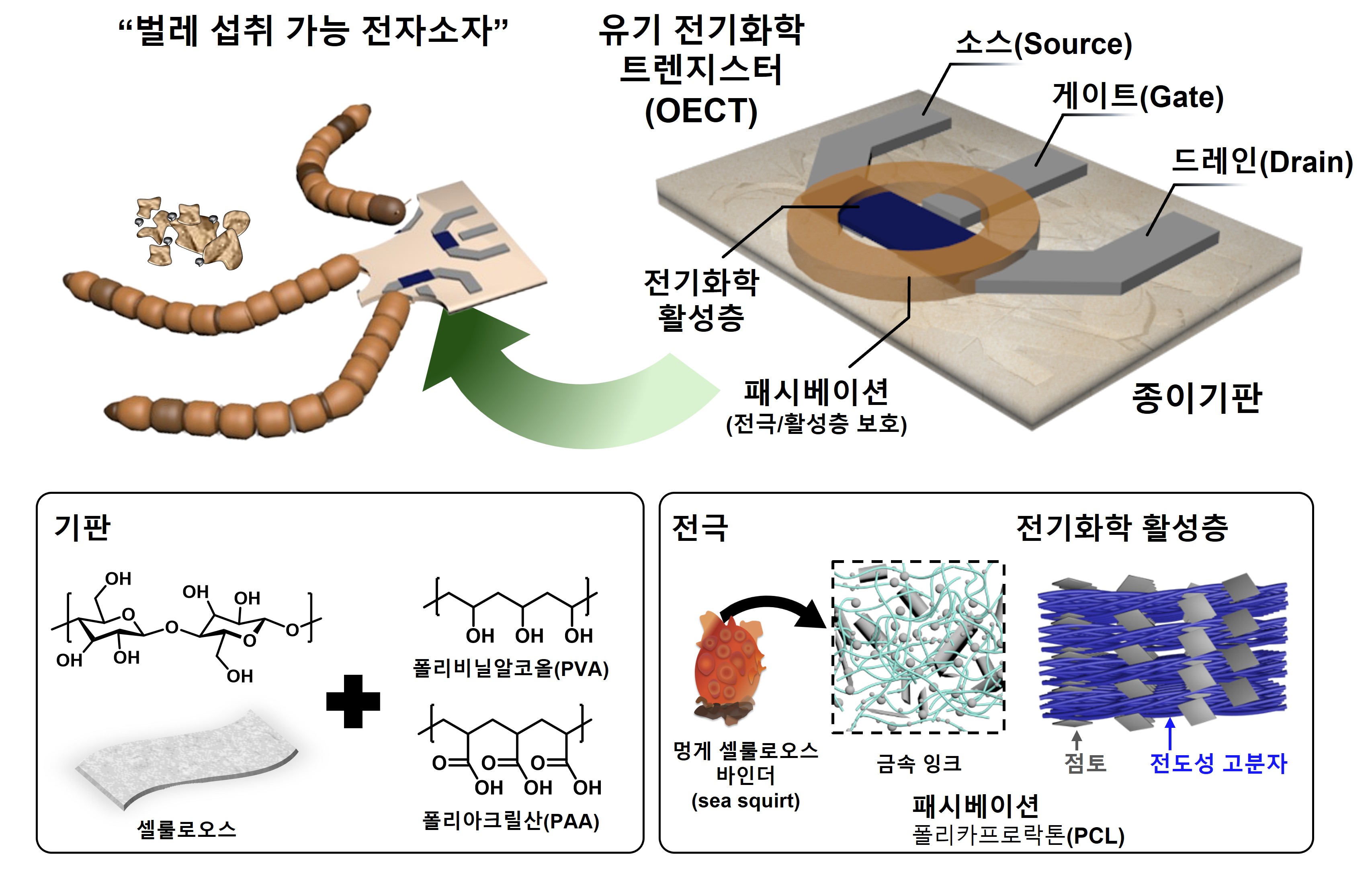 “Discarded electronic devices eaten and decomposed by insects” GIST and Inha University realize fully functional biodegradable electronic devices… Presenting a new alternative to reduce electronic waste 이미지