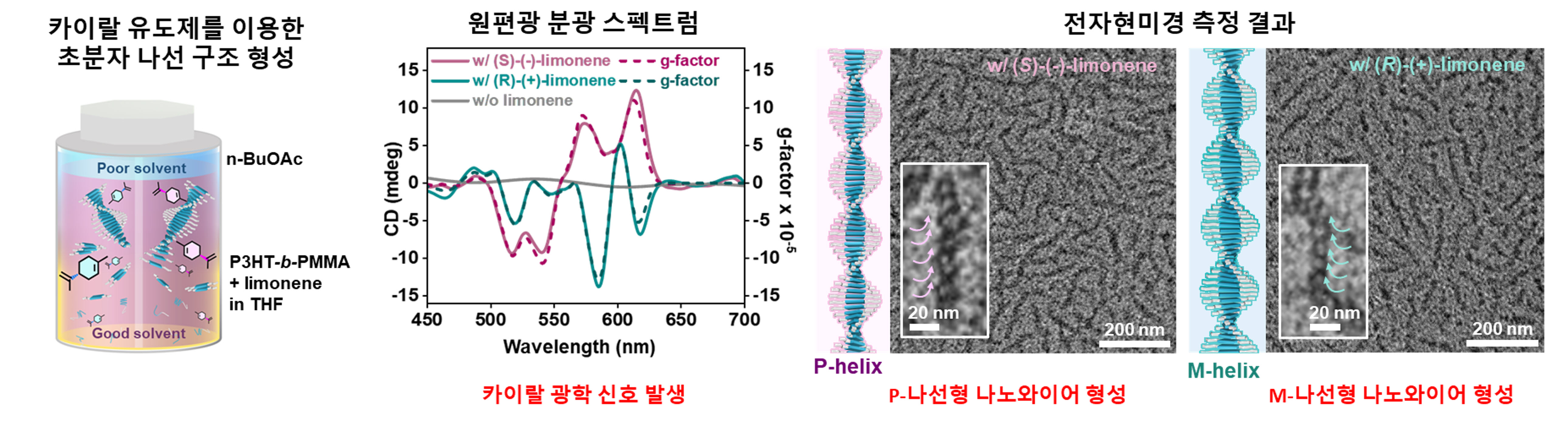 GIST-InnoCORE develops composite polymer material capable of distinguishing and remembering the direction of light rotation… Enabling 'electrical fingerprints' that are difficult to replicate 이미지