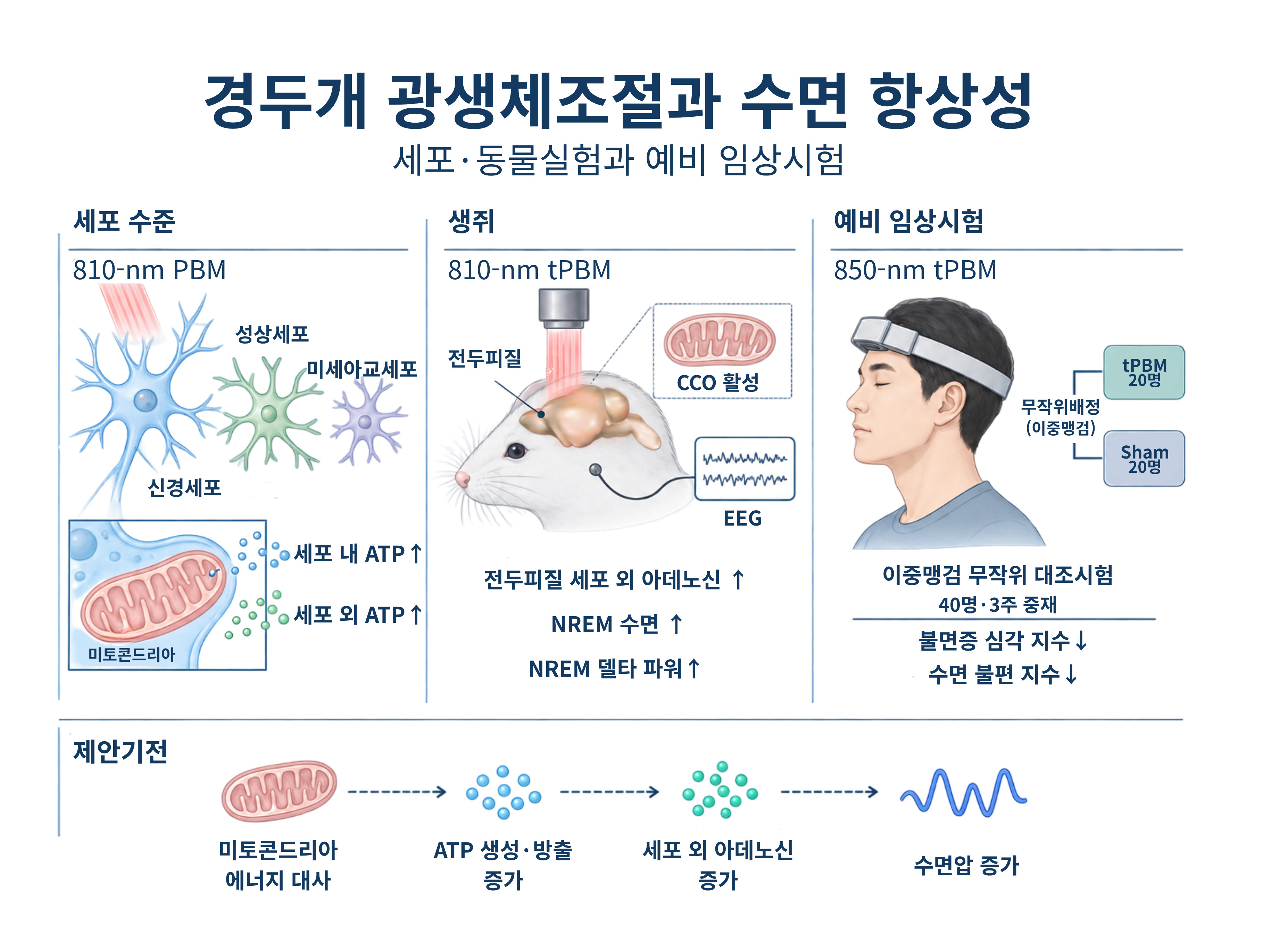 “Shining near-infrared light on the head increased ‘sleep-inducing substances’” GIST confirms sleep-regulating effects of near-infrared light 이미지