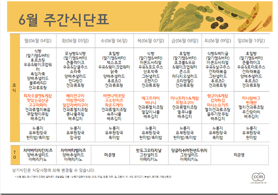 식단 06/04-06-10 이미지