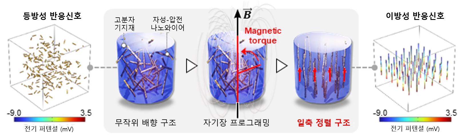 GIST, 사람 피부처럼 접촉·굽힘 구분하는 '스마트 소재' 개발… 촉각 체화형 소프트 로봇 구현 이미지
