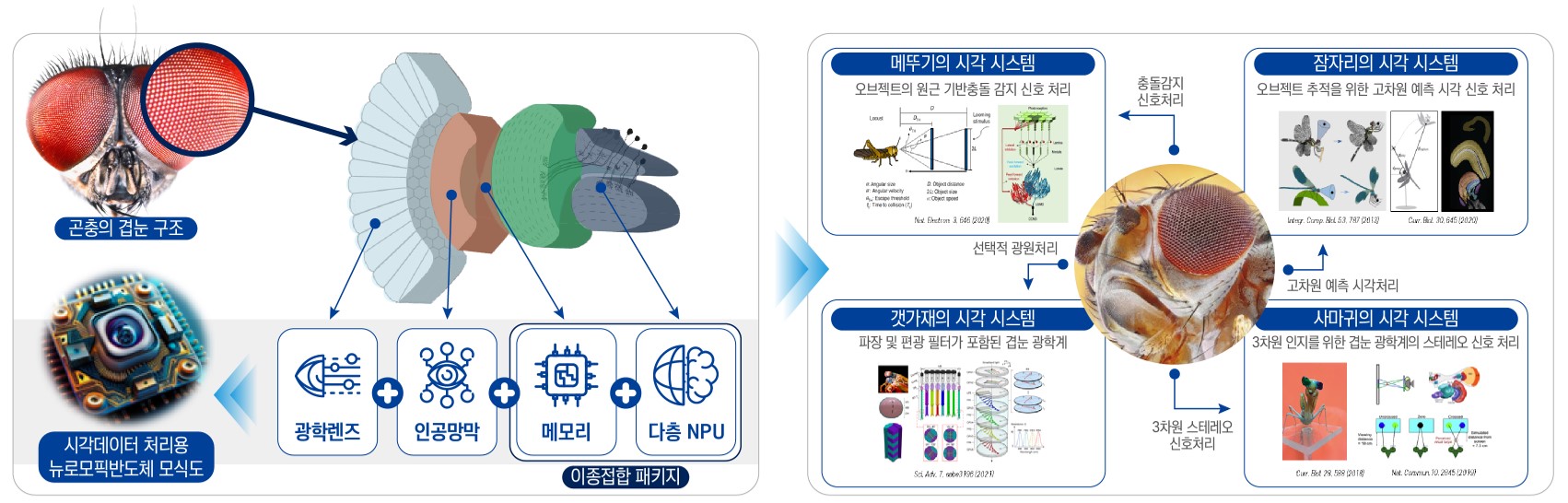 “슈퍼비전 AI 위한 겹눈모방 반도체 개발한다” 지스트, 지역혁신메가프로젝트 주관기관 선정 이미지